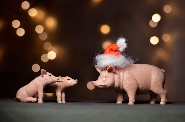 Pig and two pigs on bokeh background