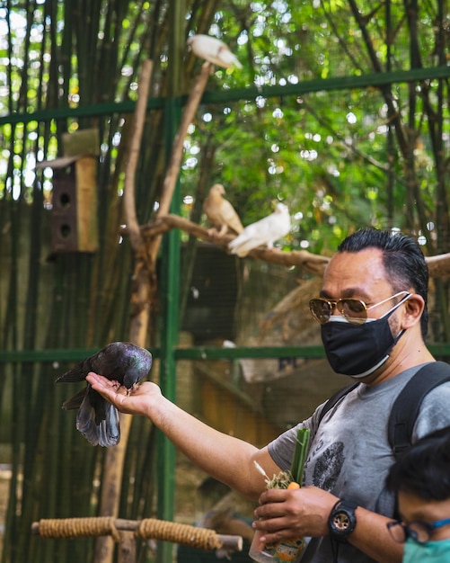 Foto il piccione che mangia dalla mano di un uomo