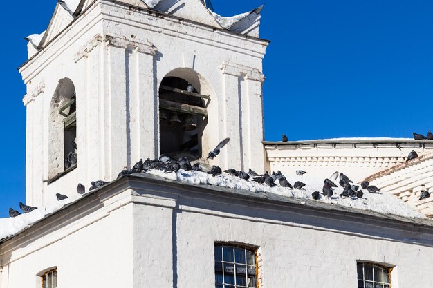 Pigeon on roof of old bell tower in Suzdal town