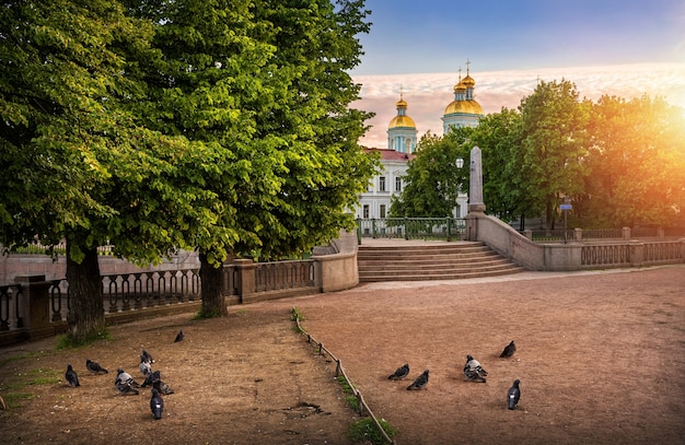 Pigeons on different sides of the fence at the St. Nicholas Cathedral in St. Petersburg