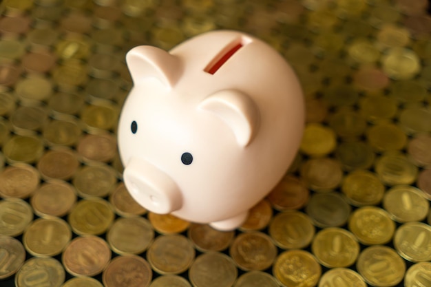 piggy bank on background of gold coins