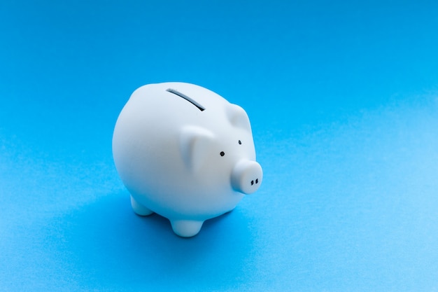 Piggy bank on blue background