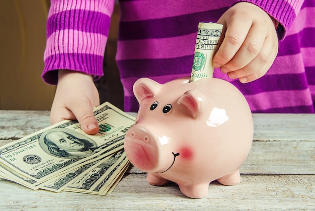 Piggy bank and dollars. Selective focus.