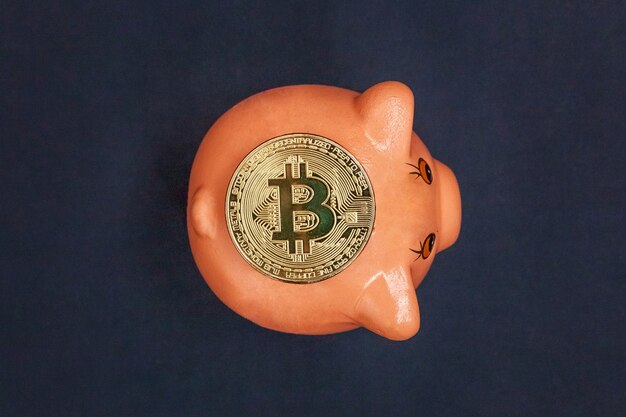 Piggy bank en gouden bitcoin munt virtueel geld op zwart