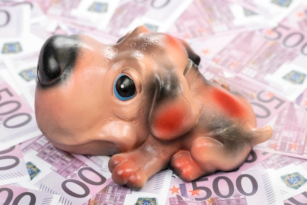 piggy bank in the form of a dog on money with a face value of five hundred euro