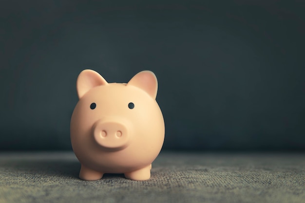 Piggy bank in the form of a pig on a dark background with copy space