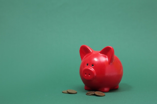 Piggy Bank in the form of a red pig on a green background