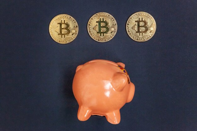 Piggy bank and golden bitcoin coin virtual money on black