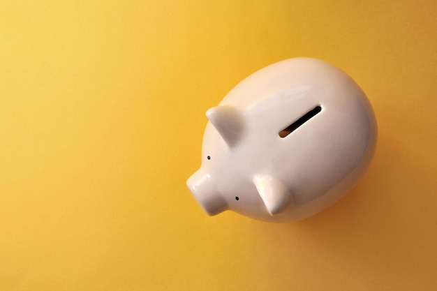 Piggy bank on a light background a symbol of money accumulation