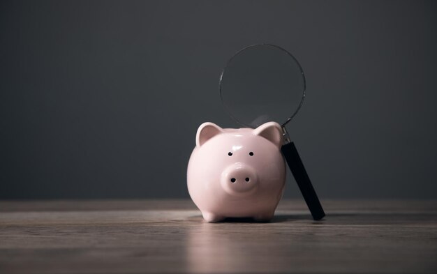 Piggy bank and magnifying glass research about saving money