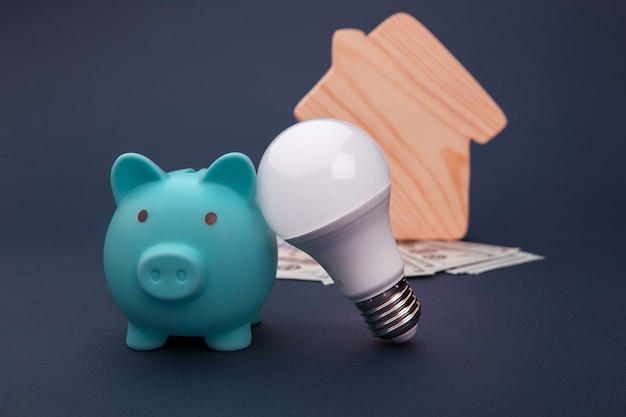 Piggy bank, money banknotes and led light bulb