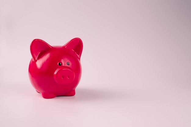 piggy Bank on a pink background