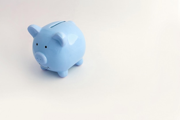 Piggy bank in the shape of a pig on an isolated white background