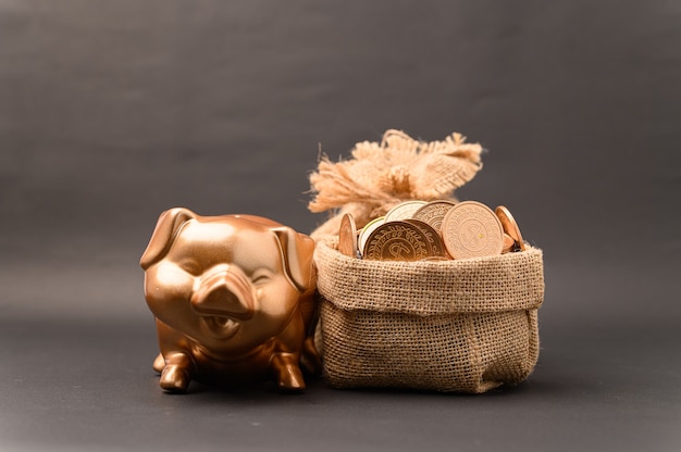 Piggy bank showing savings, income, investments, stocks