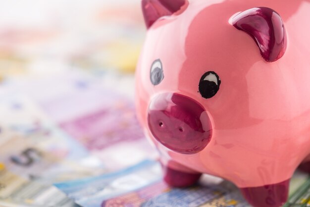 Piggy bank staat op een grote hoeveelheid eurobankbiljetten.