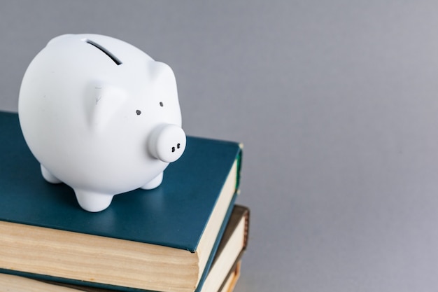 Piggy bank on top of books