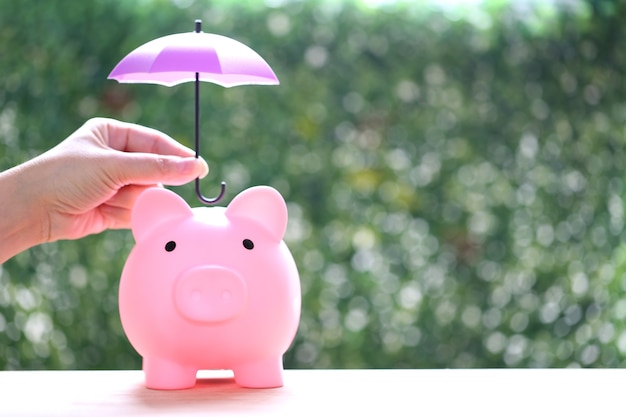 Piggy bank under the umbrella on natural green background