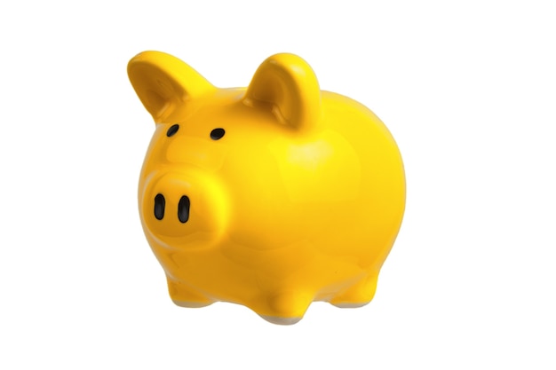 Piggy bank on white background, isolated. The concept of thrift .