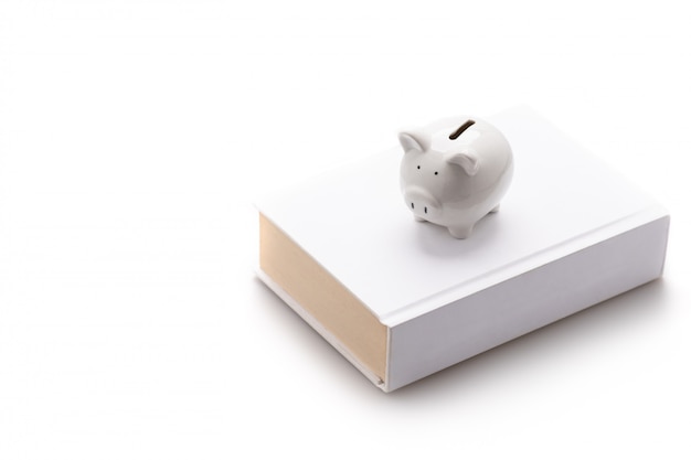 Piggy bank, white pig, put on a white book Isolated on white wall and copy space, saving and investment concept
