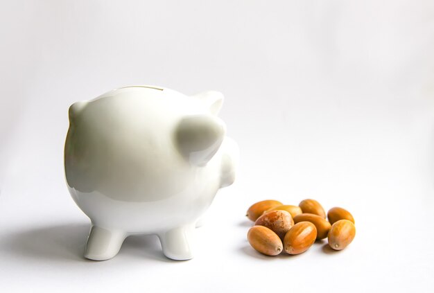 Piggy bank with acorns. White ceramic moneybox.