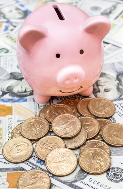 Piggy bank with coins on background of dollar bills