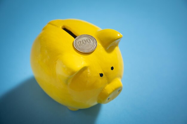 Piggy bank with a coins Concept of saving
