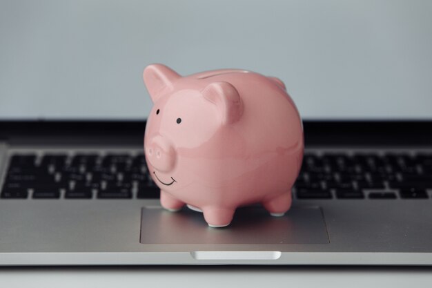 Piggy bank with laptop