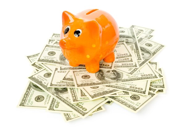 Piggy bank with money isolated on white