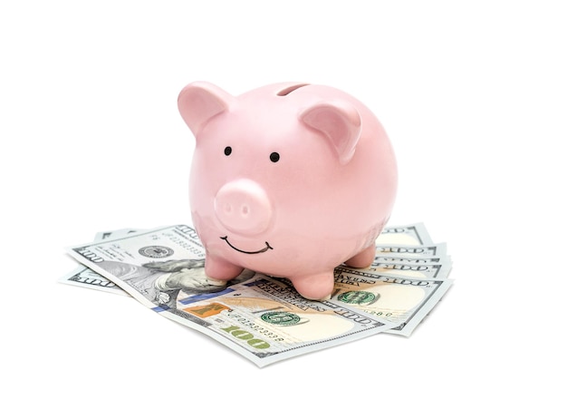 Piggy bank with money on white background