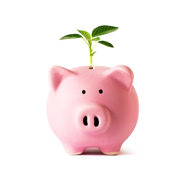 Piggy bank with plant