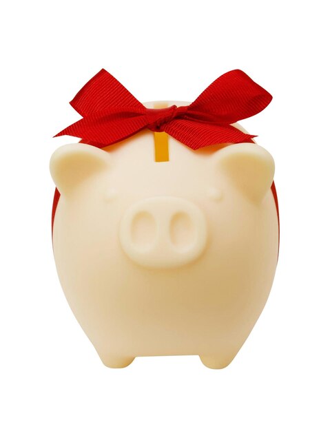 Photo piggy bank with red ribbon