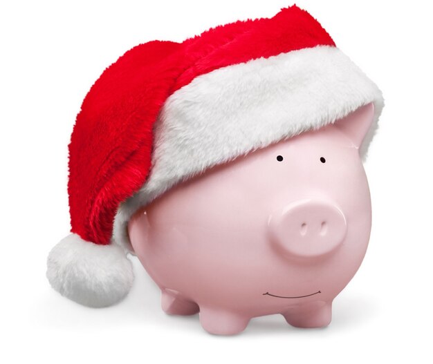 Piggy bank with Santa Claus hat on white background