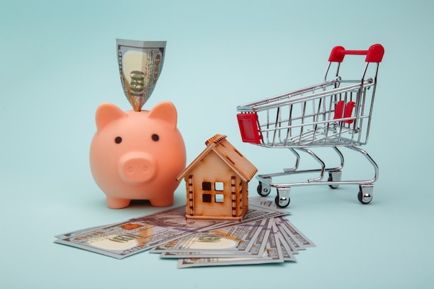 Piggy bank with wooden model of house, money banknotes and trolley