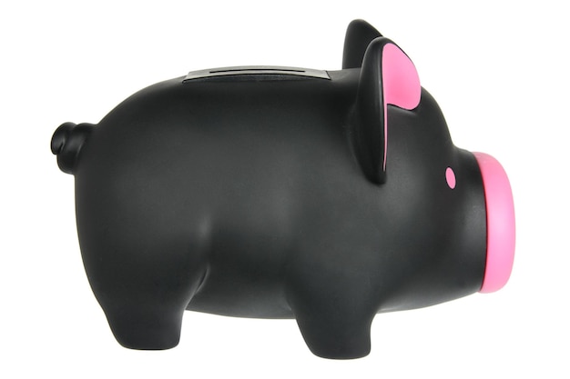 Piggy Bank