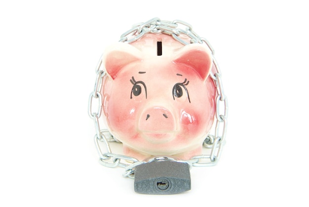 Photo piggy bank