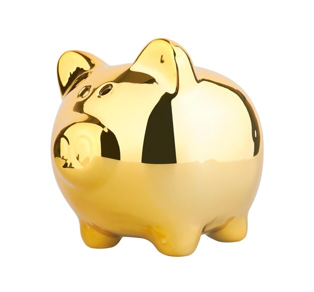 Photo piggy money box