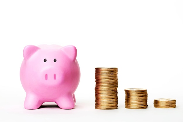 Piggybank with savings