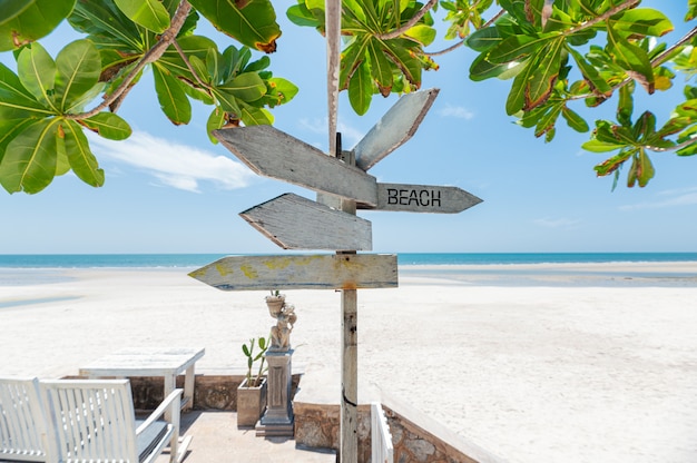 Pijlen houten uithangbord op het strand met groene installatie