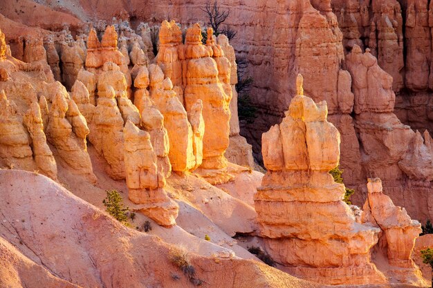 Pijlers in het Bryce Canyon nationaal park Utah USA