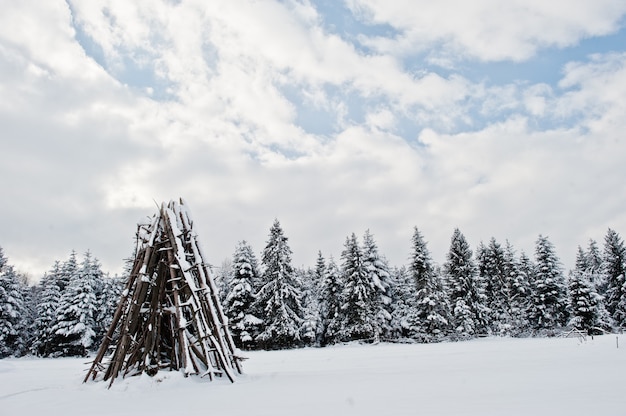 Pijnbomen bedekt met sneeuw