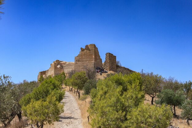 pijnbomen en torens van het kasteel van piñar in Granada