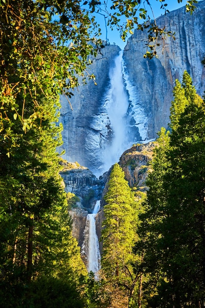 Pijnbomen omringen kliffen met ijzige yosemite-watervallen in het nationale park van Californië