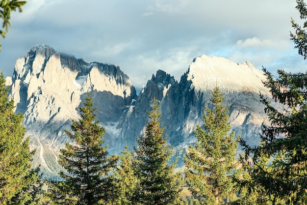 Foto pijnbomen op de achtergrond sassolungo en sassopiatto bergen in seiser alm italië