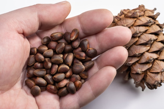 Pijnboompitten in de hand van een man en een dennenappel