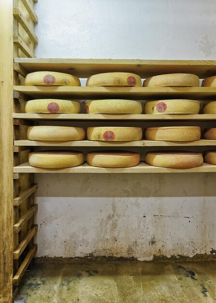 Pile of aging Cheese on wooden shelves in maturing cellar in Franche Comte dairy in France