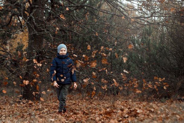 A pile of autumn, yellow foliage, a child, a boy playing with foliage in a park, throws up leaves. 