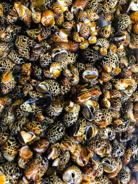 A pile of bees are stacked on top of each other.