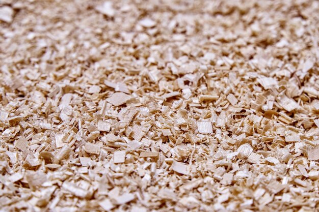 Pile of beige birch shavings after solid wood processing for furniture production as background