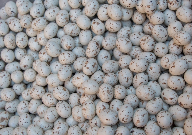 A pile of black spotted quail eggs