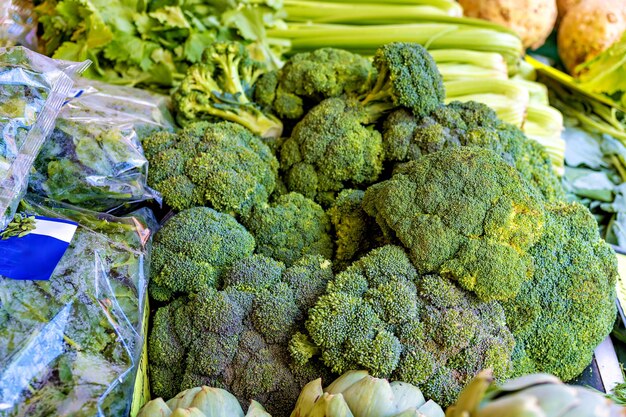 Pile of broccoli sitting on top of pile of garlic